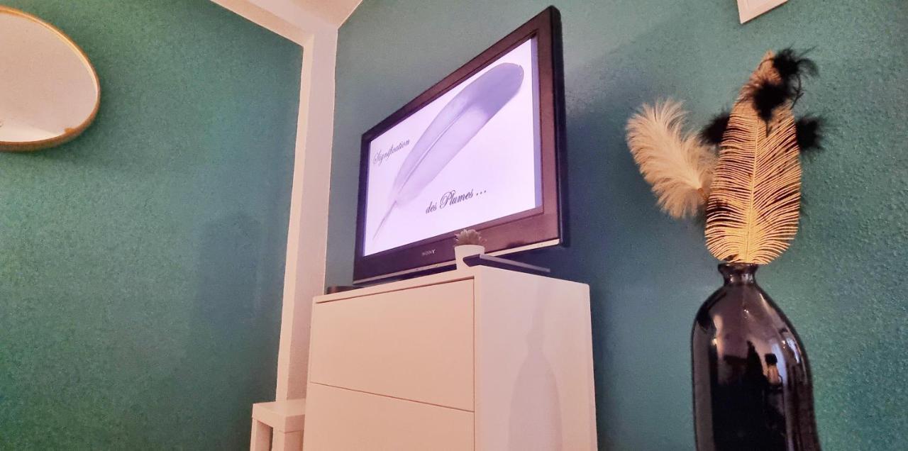 La Plume De Jais - Famille Ou Travail- Fibre - Confortable * Soultz-Haut-Rhin